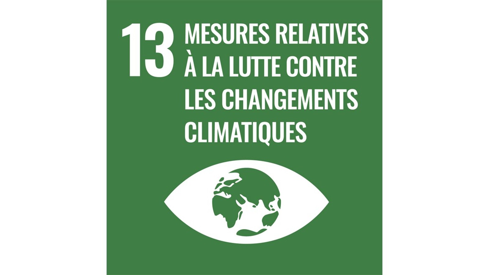 Objectif 13 des Nations unies Objectif 13 des Nations unies